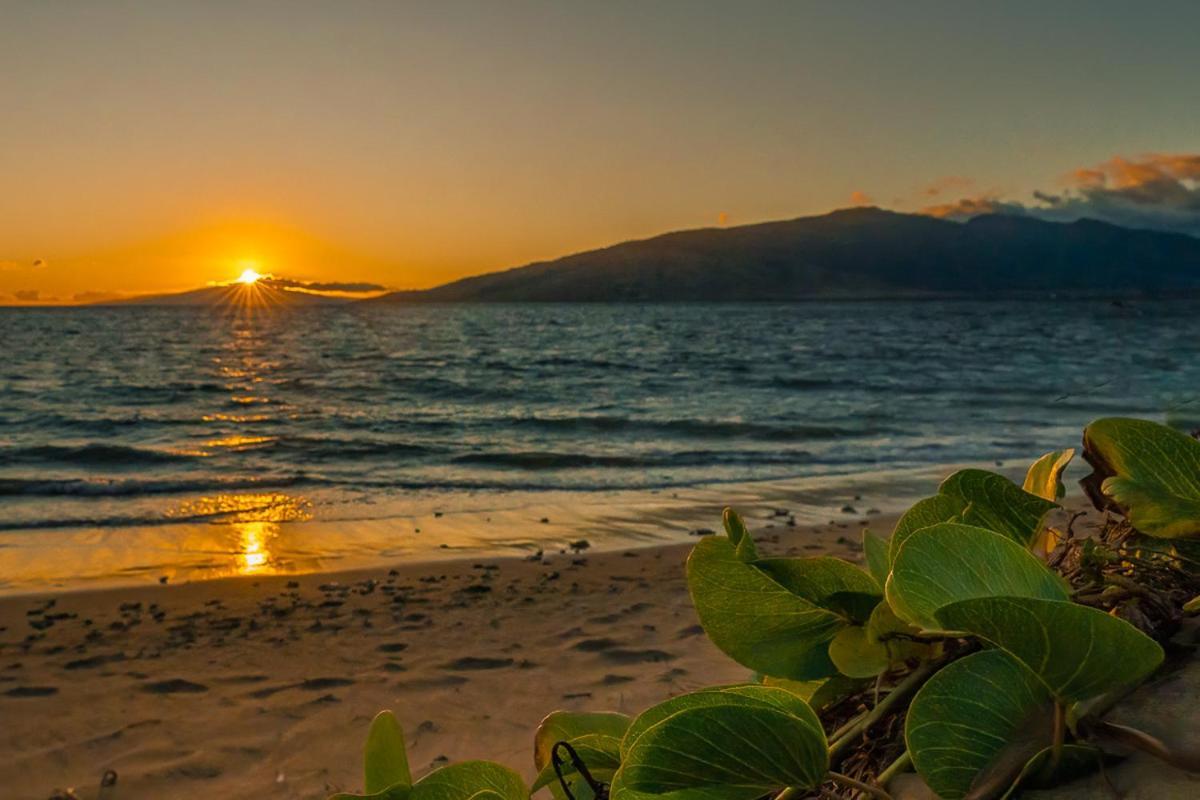 Ferienwohnung Maui Sunset B-115 Kīhei Exterior foto